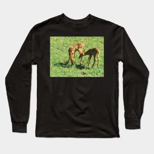 Little Fawns in the Sun Long Sleeve T-Shirt